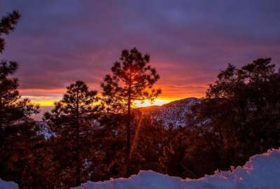 Sun Setting During a Snow Storm on Mt. Lemmon AZ