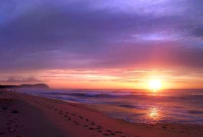 Sunset Beach Purple