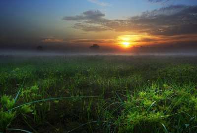 Sunset Landscapes Nature Fields Skyscapes Hd