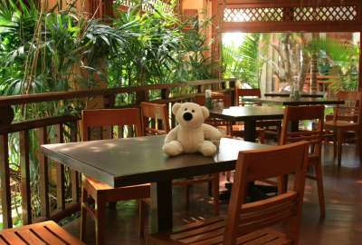 Teddy Bear on Table Photo