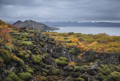 The Autumn is Here - Þingvellir National Park in Iceland