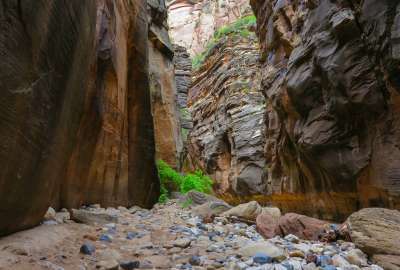 The Narrows of Zion Utah