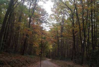 The Path to Our Camp Site Brethren Summit Laurel Highlands Pennsylvania