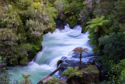 The Spectacular Okere Falls New Zealand