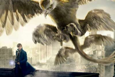 Thunderbird Fantastic Beasts and Where to Find Them
