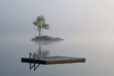 Tree Fog Island