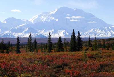 View From Wonder Lake Campground on a Clear Autumn Day Denali National Park Alaska 19790