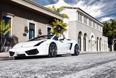 Lamborghini White Gallardo