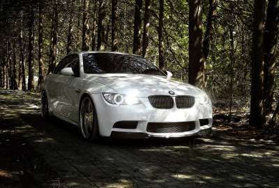 White BMW in the Forest
