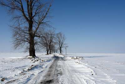 White Road in Winter