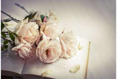 White Roses of Romance
