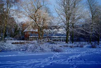 Winter House Landscape