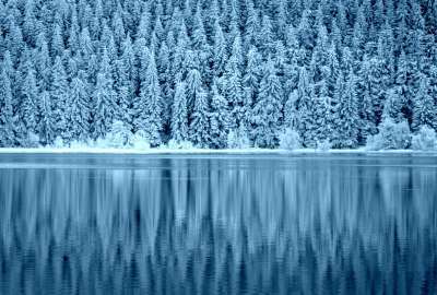 Winter Lake Landscape