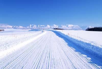 Winter Road Path