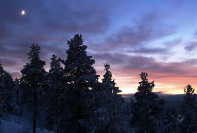 Winter Twilight Landscape