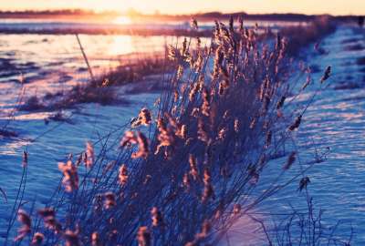 Winter, Grass, Sunlight, Fields, Sunrise, Frozen