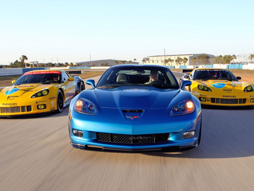 Corvette Racing Sebring Cars wallpaper