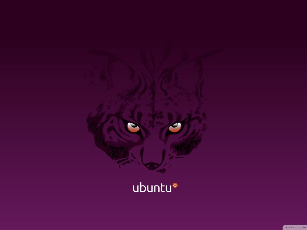 Ubuntu 13386 wallpaper
