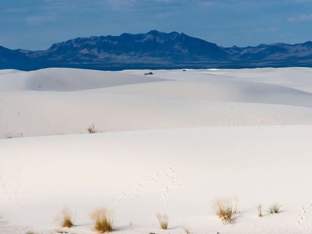 A Different Kind of Desert White Sands NM wallpaper