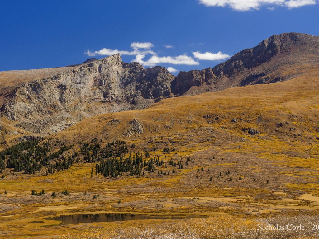A Different Kind of Fall Color at Guanella Pass Colorado wallpaper