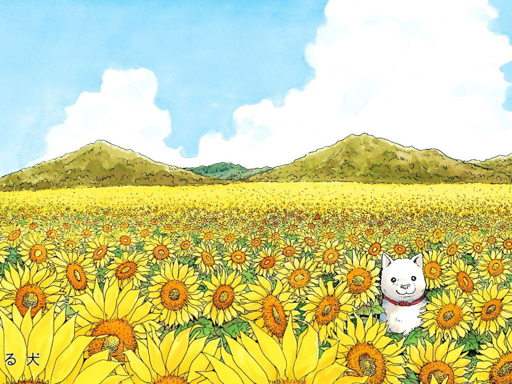 A Dog in a Field of Flowers. One of the Less Abstract but Still Vibrant Works of Takashi Murakami wallpaper