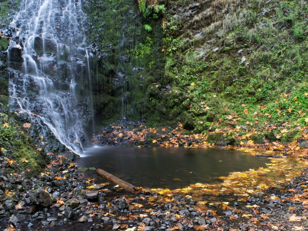 A Hidden Waterfall in Oregon wallpaper