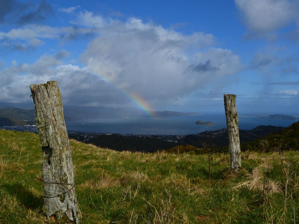 A Pot of Gold in the Wellington Harbour New Zealand wallpaper