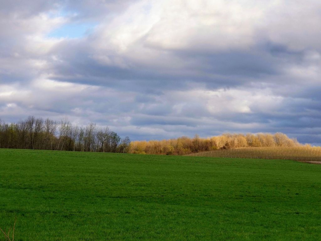 A Rural View in Western New York wallpaper