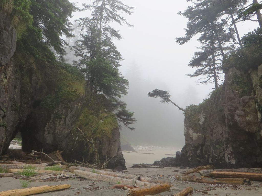 A Small Natural Sea Arch in the Fog on a Sandy Beach of Cape Scott Provincial Park BC Canada wallpaper