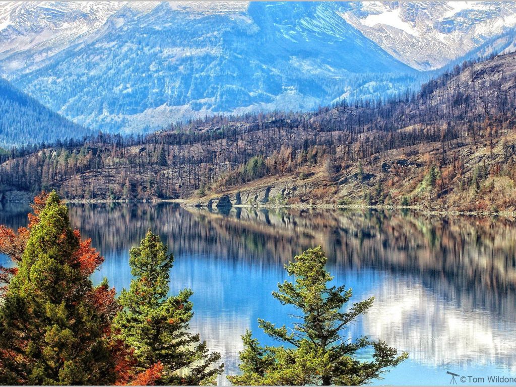 A View Along Lake Josephine in Glacier National Park Montana wallpaper