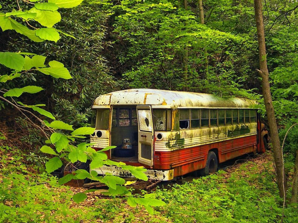 Abandoned Bus in a Forest wallpaper