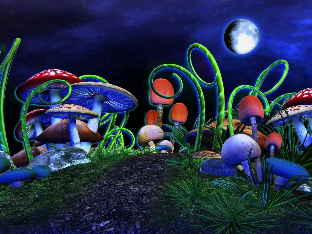 Abstract Mushrooms in the Night wallpaper