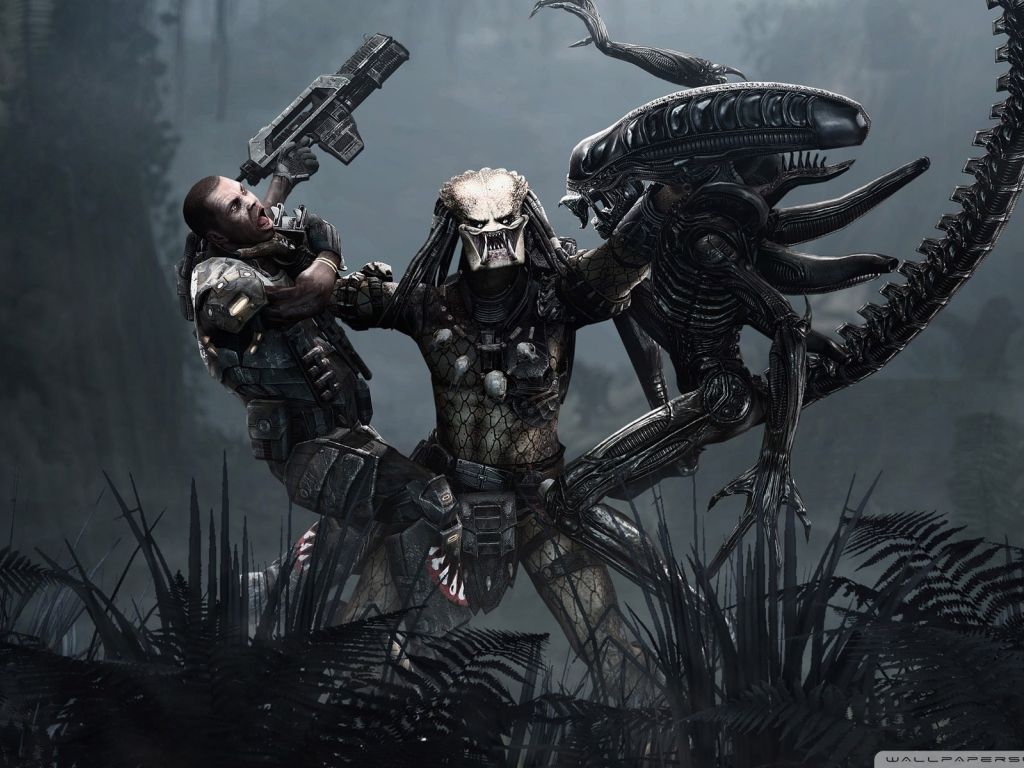 Alien Vs Predator 11730 wallpaper