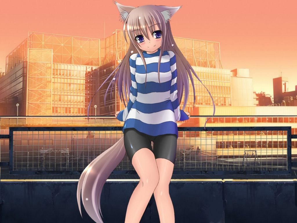 Anime Girl Cat wallpaper