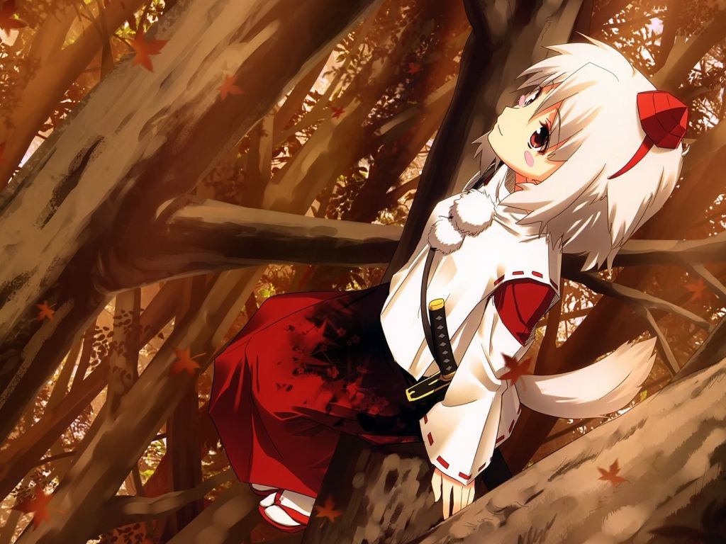 Anime Girl With White Wolf Ears And Tail wallpaper
