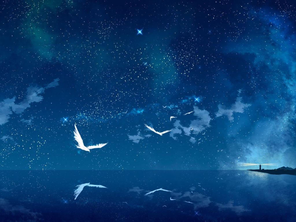 Anime Scenic Sky Bird Starry Sky wallpaper