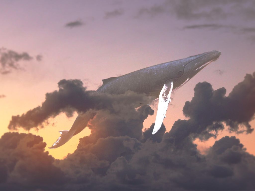 Another Whale Seen in the Sky wallpaper