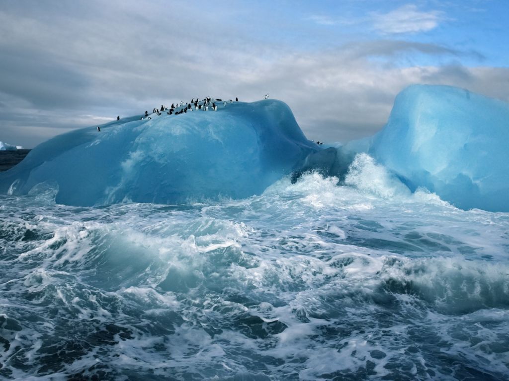 Antarctica Penguins Ice Ocean wallpaper