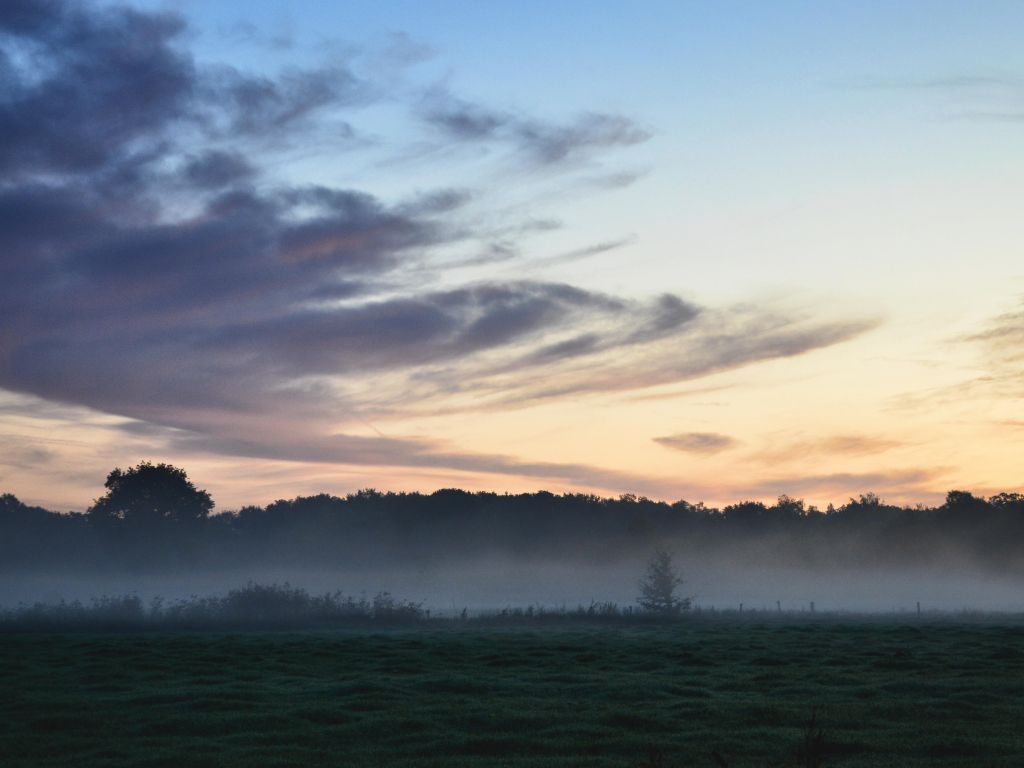 At the Dutch Countryside on a Early Morning wallpaper