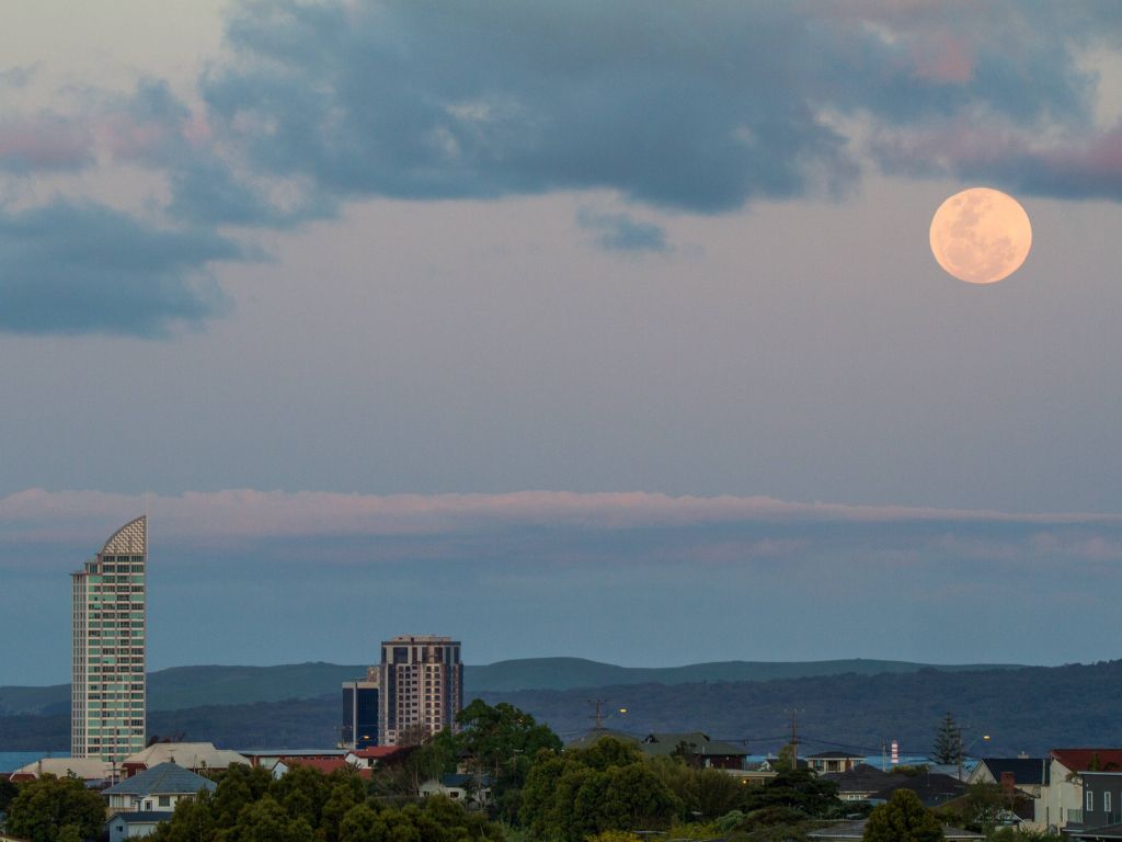 Auckland Did a Good Moonrise Yesterday wallpaper