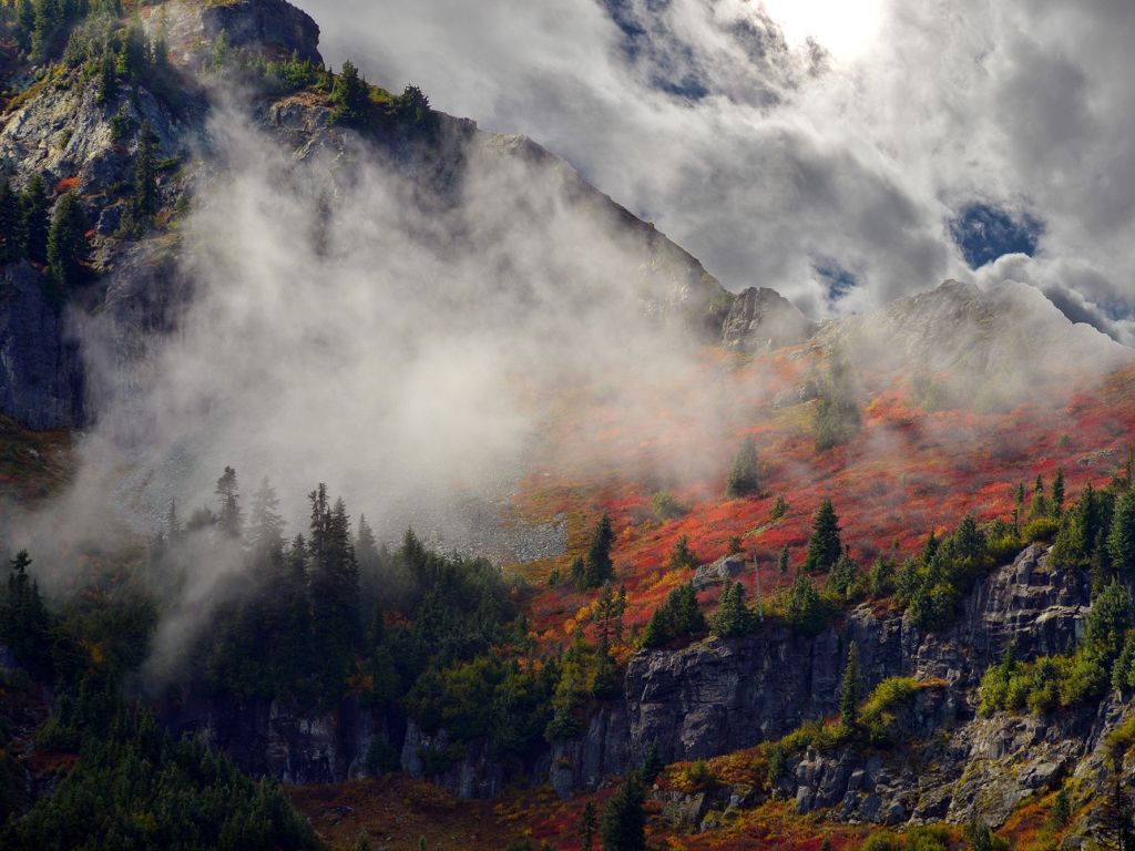 Autumn in Mount Rainier National Park wallpaper