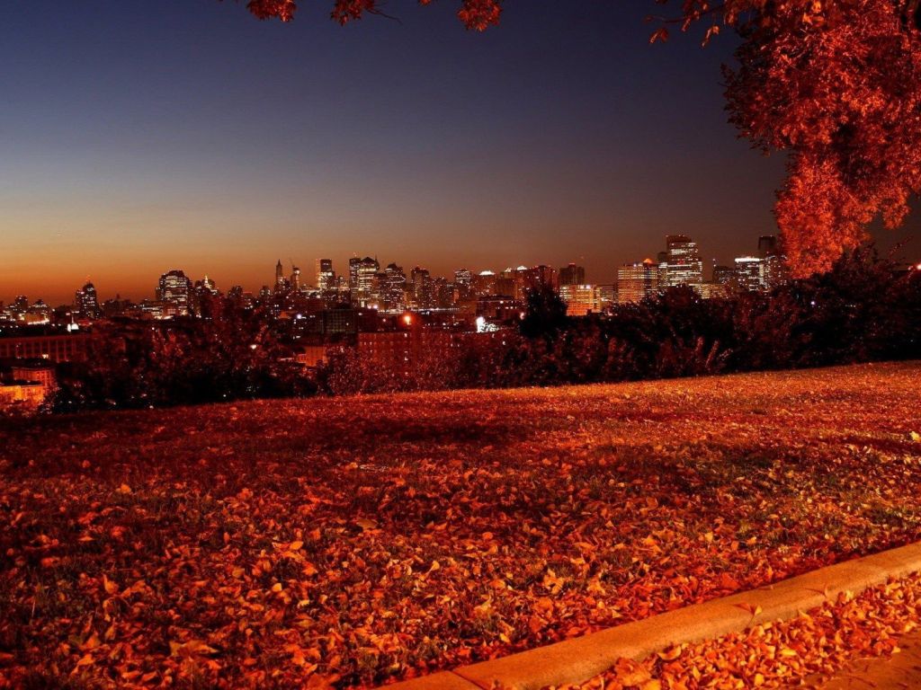 Autumn In The City wallpaper