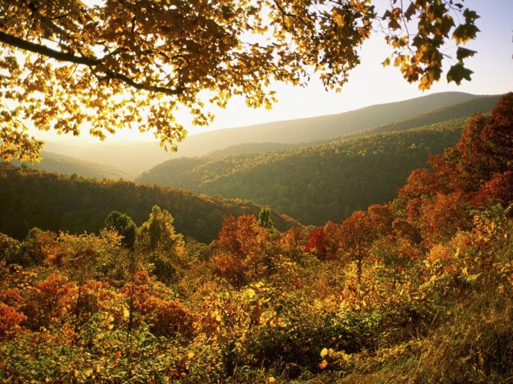 Autumn in Virginia wallpaper