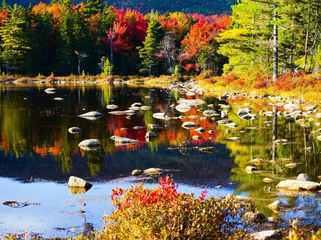 Autumn is a Second Spring When Every Leaf is a Flower Kancamagus Highway wallpaper