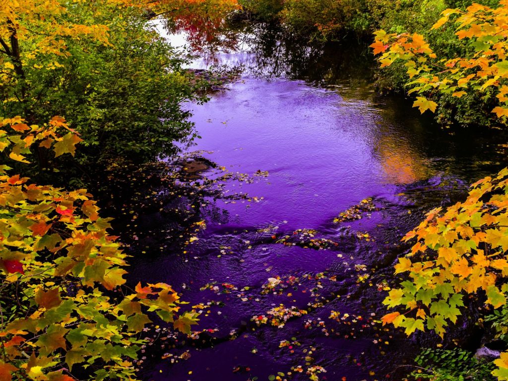 Autumn Maine Stream wallpaper