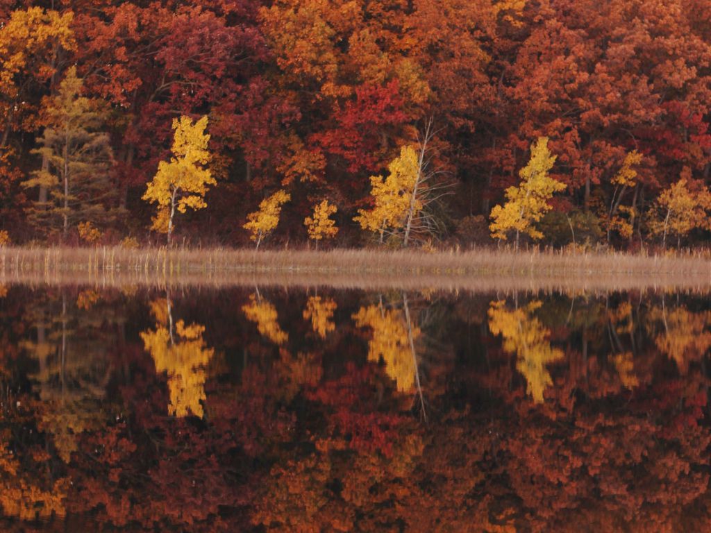 Autumn Reflections in Michigan wallpaper