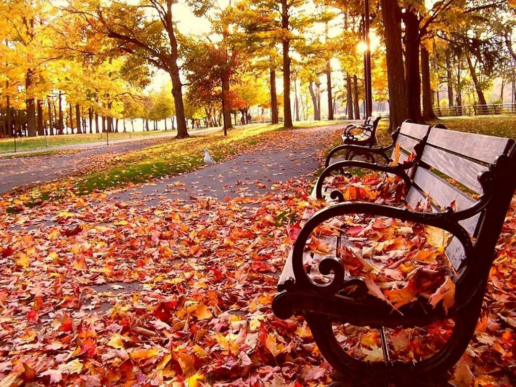 Autumn Season wallpaper