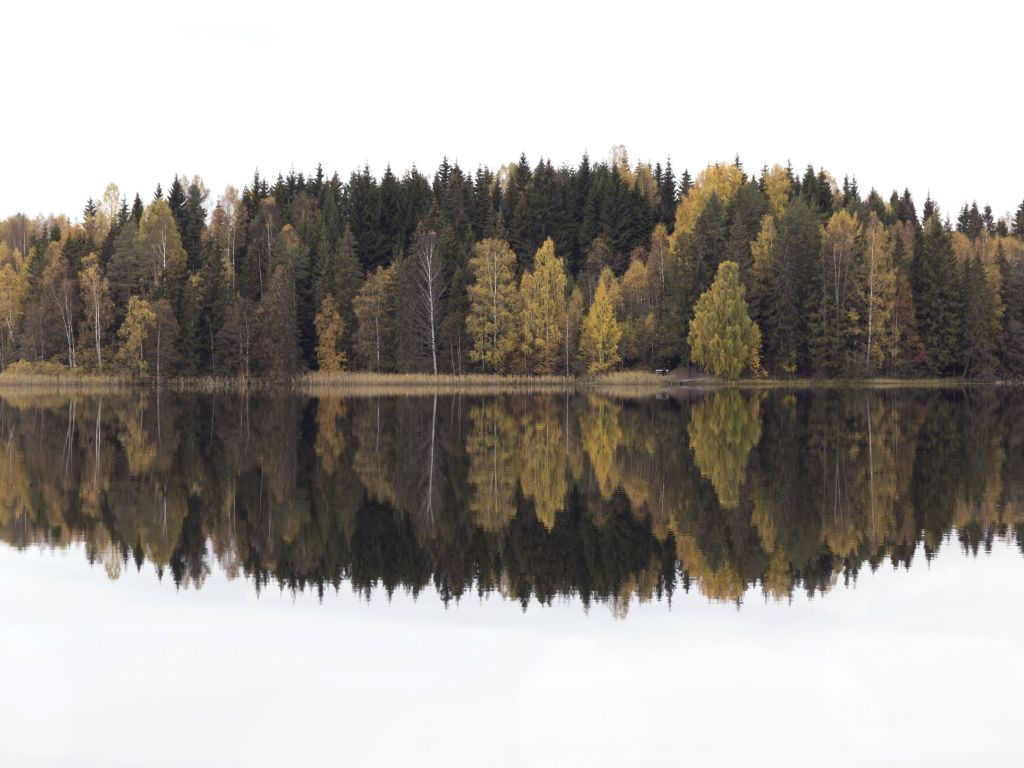 Autumn Symmetry Near Jessheim Norway wallpaper