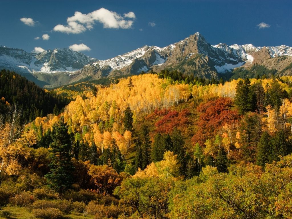 Autumn Trees With Mountains wallpaper