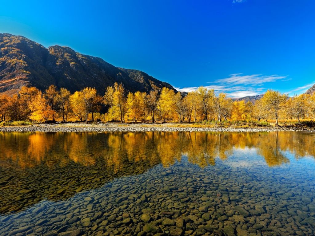 Autumn Trees Over Lake Landscape wallpaper